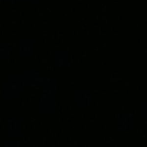 Meet your Posher, Joanna